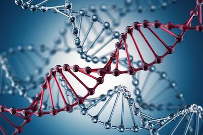 数据或成“生物炸弹”原料 跨国合作亟需筑牢生物信息安全防线